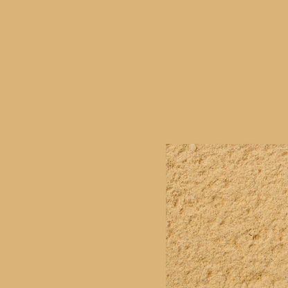 Ecorend RP77 Colour Equalising Paint - 10 ltr - RSO - Render & Drylining Supplies