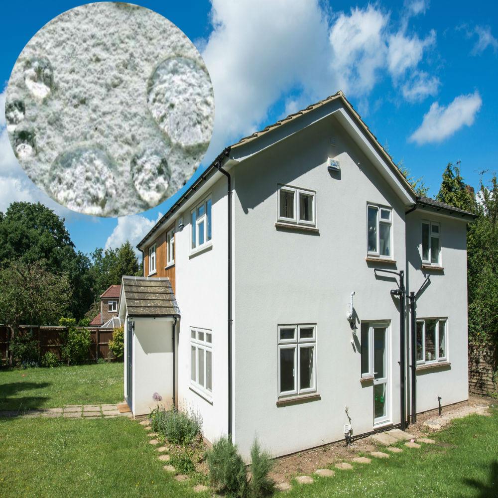 K Rend Silicone K1 - 25kg - RSO - Render & Drylining Supplies